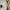 Classic Tailored Trench Coat with Convenient Pockets – Sophia