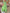 Floral V-Neck Maxi Dress for Special Summer Moments – Emma