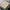 Luxuriously Soft Cashmere Polo Sweater for Men – Daniel