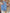 Floral V-Neck Maxi Dress for Special Summer Moments – Emma