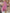 Floral V-Neck Maxi Dress for Special Summer Moments – Emma