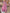 Floral V-Neck Maxi Dress for Special Summer Moments – Emma