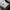 Premium Merino Wool Hoodie for Breathable Comfort and Style – Liam
