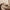 Soft Cashmere Hoodie – Luxurious & Warm Everyday Essential