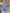 Floral V-Neck Maxi Dress for Special Summer Moments – Emma