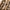 Classic Trench Coat – Timeless Protection for Any Weather – Sophia