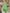 Floral V-Neck Maxi Dress for Special Summer Moments – Emma