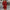 Dazzling Sequined Evening Dress for Glamorous Events – Sophia