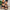Stylish Wedge Sandals with Adjustable Straps for Summer – Emma