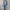 Effortless Button-Down Coat with Structured Lapel Collar – Sophia