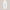 Lightweight Wide-Leg Linen Pants, Breathable & Chic – Sophia