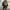 Trendy Women's Long Sleeve Jacket with Functional Pockets – Sophia
