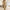 Ultra-Soft Two-Piece Lounge Set for Daily Comfort – Emily