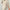 Minimalist Solid Color Two-Piece Outfit for Trendy Looks – Ava