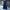 Functional Cotton Midi Dress with Stylish Pockets – Amelia