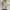 Effortless Loose Long Sleeve T-Shirt for Women – Emily