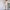 Trendy Knitwear Set with Crop Top and Pants – Emma