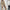 Trendy Oversized Sweatshirt & Jogger Set for Effortless Chic – Olivia