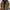 Lightweight Insulated Winter Jacket for Effortless Warmth – Emma