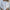 Women’s Textured Jacquard Top for Chic Everyday Looks – Olivia