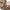 Ultra-Soft Knit Crew Neck Sweater for Everyday Comfort – Olivia