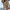 Trendy Fall Sweatshirt with Side Zipper for Relaxed Comfort – Sarah