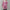 Cozy Faux Wool Coat for Women for Cold Winter Days – Emma