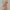 Cozy Faux Wool Coat for Women for Cold Winter Days – Emma
