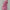 Cozy Faux Wool Coat for Women for Cold Winter Days – Emma