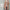 Cozy Faux Wool Coat for Women for Cold Winter Days – Emma