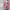 Cozy Faux Wool Coat for Women for Cold Winter Days – Emma