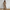 Knit Sweater Set with Wide-Leg Lounge Pants – Olivia