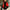 Oversized Knit Poncho Wrap, Cozy & Stylish Layering Piece – Emily