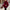 Oversized Knit Poncho Wrap, Cozy & Stylish Layering Piece – Emily