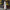Trendy Long-Sleeve Skirt Set for Modern Elegance – Sophia