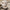 Multi-Functional Winter Beanie with Face Mask and Neck Gaiter – Emily
