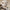 Multi-Functional Winter Beanie with Face Mask and Neck Gaiter – Emily