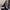 Wrinkle-Free Professional Shirt with Tailored Fit – Liam