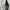 Elegant Wide-Leg Pants & Drapey Top Set, Polished Look – Olivia