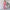 Trendy Zebra Print Lounge Set for Women’s Cozy Wear – Sophia