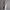 Women’s Longline Coat – Sleek & Warm Winter Essential – Amelia