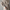 Women’s Longline Coat – Sleek & Warm Winter Essential – Amelia