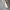 Women’s Longline Coat – Sleek & Warm Winter Essential – Amelia