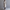Women’s Longline Coat – Sleek & Warm Winter Essential – Amelia