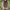 Elegant and Warm Knitted Woolen Shawl for Women – Emily