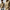 Classic Tailored Button-Up Shirt for Men with Modern Fit – Oliver