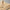 Luxuriously Soft Cashmere Polo Sweater for Men – Daniel