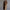 Women’s Longline Coat – Sleek & Warm Winter Essential – Amelia