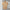 Luxuriously Soft Cashmere Polo Sweater for Men – Daniel