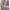 Chic Long-Sleeve Belted Dress – Flattering & Timeless Fit – Olivia